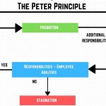 promocija management